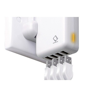 Сетевое зарядное устройство USB Capdase Quartet USB Power Adapter для Apple(1)