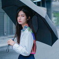 Зонт Xiaomi Empty Valley Automatic Umbrella WD1(#2)