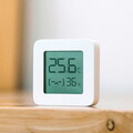 Метеостанция Xiaomi Mijia Bluetooth Hygrothermograph 2 (LYWSD03MMC)(#2)