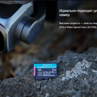 Карта памяти Canvas Go! Plus microSDXC SDCG4/256GB (с адаптером) UHS-I, U3, V30, A2, Class 10(4)