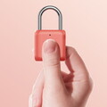 Умный замок Xiaomi Uodi Smart Fingerprint Lock Padlock Kitty красный(#2)