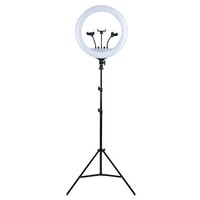 Кольцевая лампа 45см RL-19 с пультом, штативом и сумкой