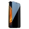 Защитное стекло Антишпион Nillkin Guardian Full Coverage Privacy Tempered Glass  для Apple iPhone 12 mini(#2)