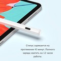 Стилус Nillkin Crayon K2 iPad Stylus(#9)