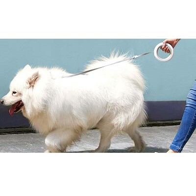 Поводок для собак MOESTAR UFO Retractable Leash 2 (MS0030002)(10)
